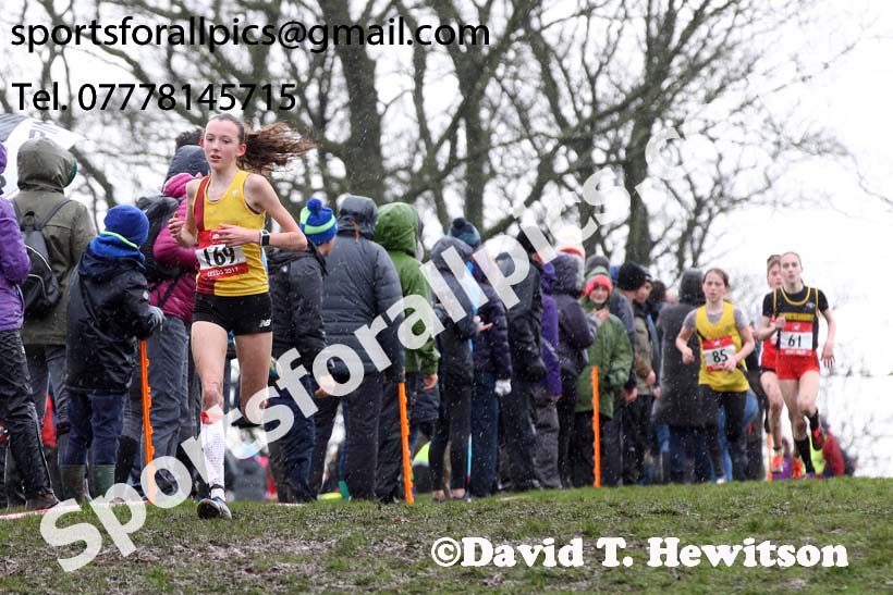 Junior girls 2019 New Balance English Schools Cross Country Champs, Temple Newsam, Leeds. Photo:  David T. Hewitson/Sports for All Pics